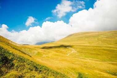 Ormanda termos, yeşil tepelerde çay içmek. Su akıyor, küçük bir nehir. Doğa seyahati Rusya