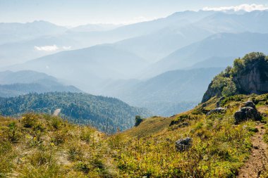 Ormanda termos, yeşil tepelerde çay içmek. Su akıyor, küçük bir nehir. Doğa seyahati Rusya