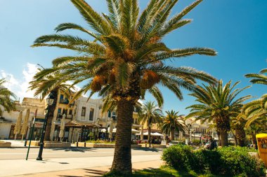 Yunanistan 'ın Rethymno kentindeki sahil şeridi boyunca palmiye ağaçları olan turistik cadde.