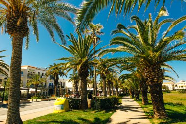 Yunanistan 'ın Rethymno kentindeki sahil şeridi boyunca palmiye ağaçları olan turistik cadde.