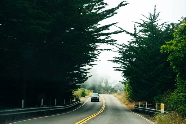 Estrada Verão Através Floresta — Fotografia de Stock