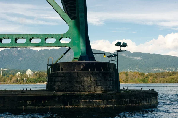 Vancouver Mei 2019 Vancouver Canada Leeuwen Gate Hangbrug Vancouver Met — Stockfoto