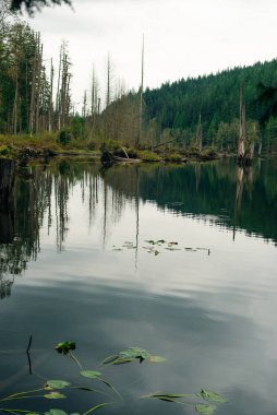 Alouette Gölü, Golden Ears İl Parkı, British Columbia, Kanada.