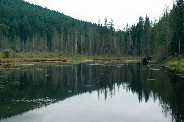 Alouette Gölü, Golden Ears İl Parkı, British Columbia, Kanada.