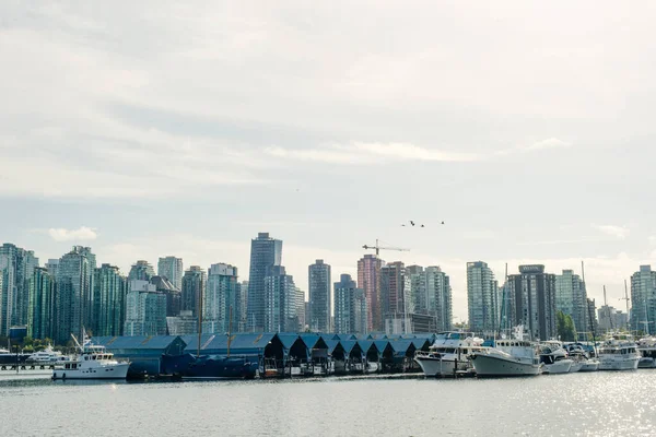 Impresionante Vista Panorámica Vancouver Skyline Burrard Inlet Desde Stanley Park — Foto de Stock