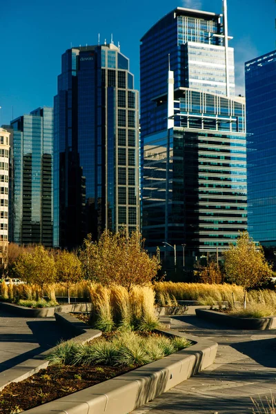 Moderne Ansicht Der Innenstadt Aus Der Nähe Des Parks Calgary — Stockfoto