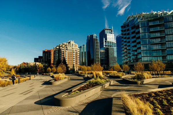 Modern Downtown Manzarası Parka Yakın Bir Yerden Çekilmiş Calgary Kanada — Stok fotoğraf