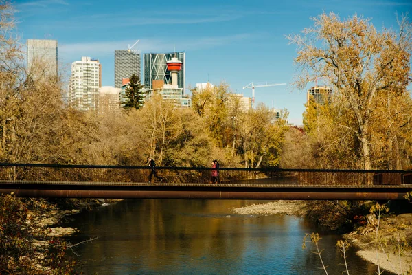 Moderna Vista Del Centro Tomada Desde Cerca Por Parque Calgary — Foto de Stock