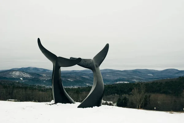 佛蒙特州伦道夫市的雕像鲸尾 第2019号决定 — 图库照片