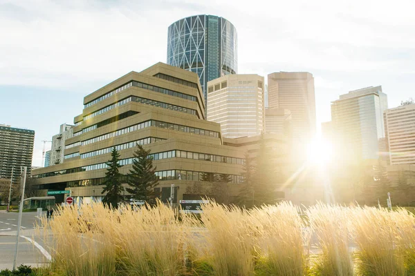 Moderna Vista Del Centro Tomada Desde Cerca Por Parque Calgary — Foto de Stock