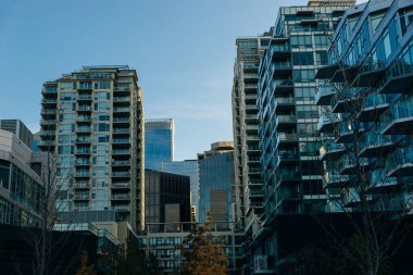 Merkez Caddedeki Calgary manzarası kurumsal gökdelenleri gösteriyor. Kanada - sep 2019.