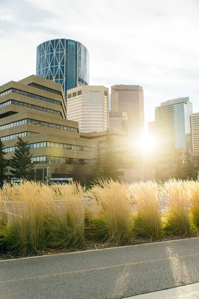 Modern Uitzicht Binnenstad Genomen Uit Buurt Van Het Park Calgary — Stockfoto