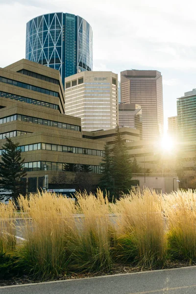 Modern Uitzicht Binnenstad Genomen Uit Buurt Van Het Park Calgary — Stockfoto