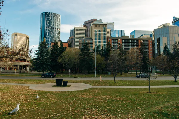 Uitzicht Calgary Centrum Centre Street Tonen Hoge Corporate Office Wolkenkrabbers — Stockfoto