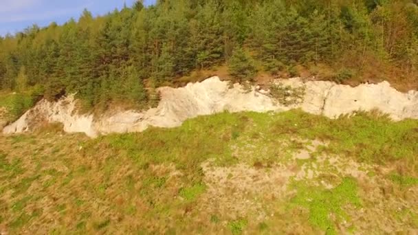 Aerial View. Flying over the beautiful mountain and beautiful forest. Aerial camera shot, Austria alps — Stock Video