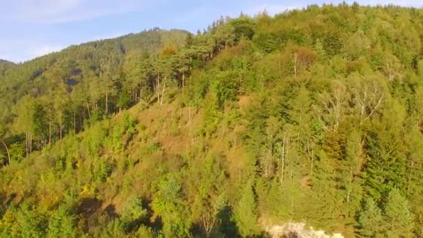 Vista aérea. Volando sobre la hermosa montaña y el hermoso bosque. Cámara aérea, Austria alpes — Vídeo de stock