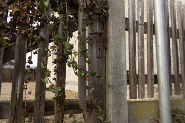 Eski rustik bahçe kapısı