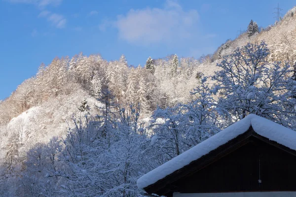 Зима, снег, синий, небо — стоковое фото