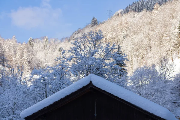 Зима, снег, синий, небо — стоковое фото