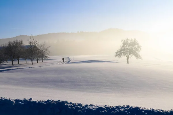オーストリア、冬、雪、青、空の風景 — ストック写真
