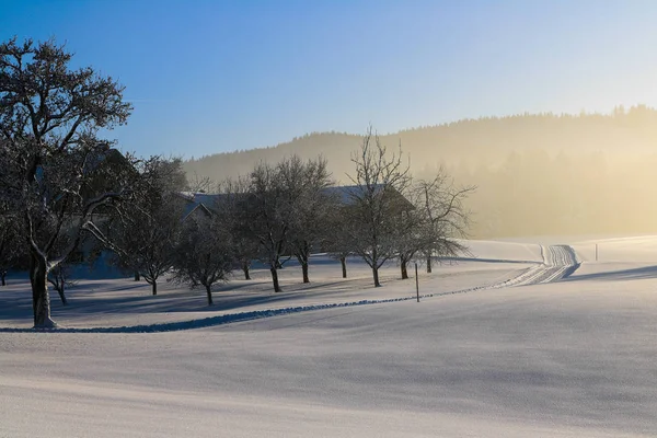 Oostenrijk, landschap in de winter, sneeuw, blauwe, sky — Stockfoto