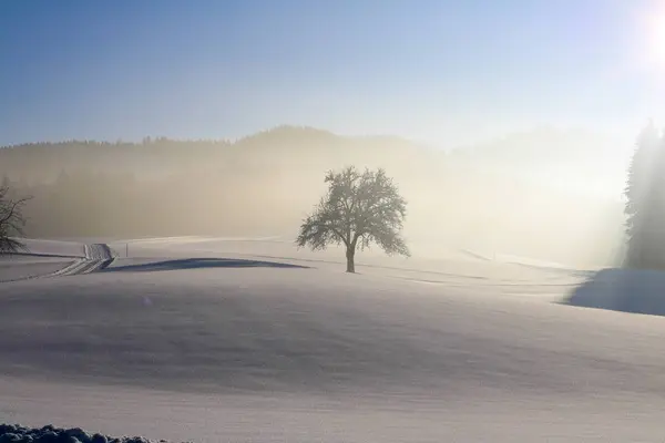 Austria, landscape in winter, snow, blue, sky — стоковое фото