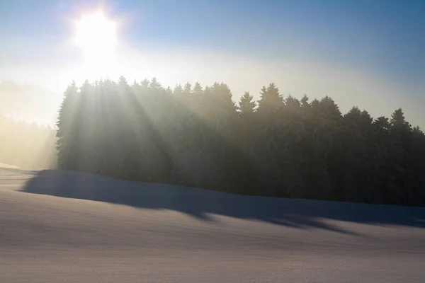 Oostenrijk, landschap in de winter, sneeuw, blauwe, sky — Stockfoto