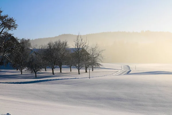 Oostenrijk, landschap in de winter, sneeuw, blauwe, sky — Stockfoto