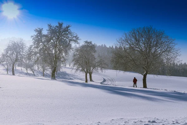 Winterlandschap - ijzig winter structuur in het forest met sunrise — Stockfoto