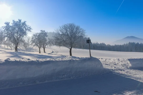 冬の風景の日の出の森で冬に凍るツリー — ストック写真