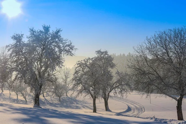 Winterlandschap - ijzig winter structuur in het forest met sunrise — Stockfoto