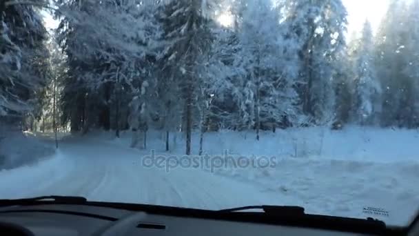 Car driving through the winter forest on snowy road, alps europe. — Stock Video