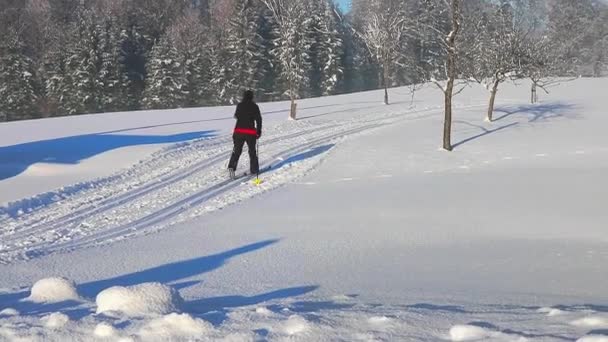 Esquí esquí de fondo en la estación de esquí de Austria — Vídeos de Stock