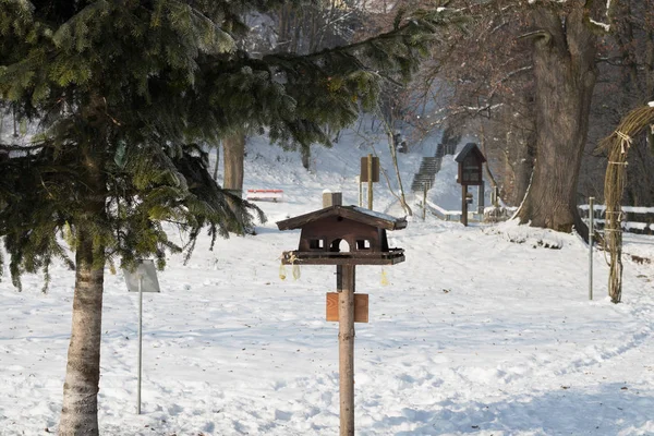 雪に覆われた赤い鳥の家は冬に屋外ぶら下がっています。 — ストック写真