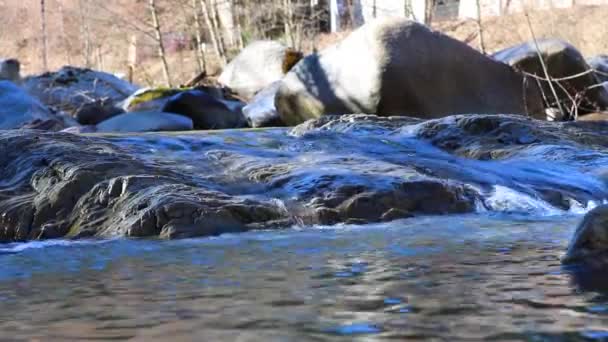Чистая пресная вода водопад в лесной реке . — стоковое видео