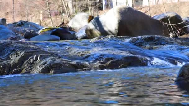 Cascata d'acqua dolce pura nel fiume foresta. Alpi Austria. rallentatore — Video Stock