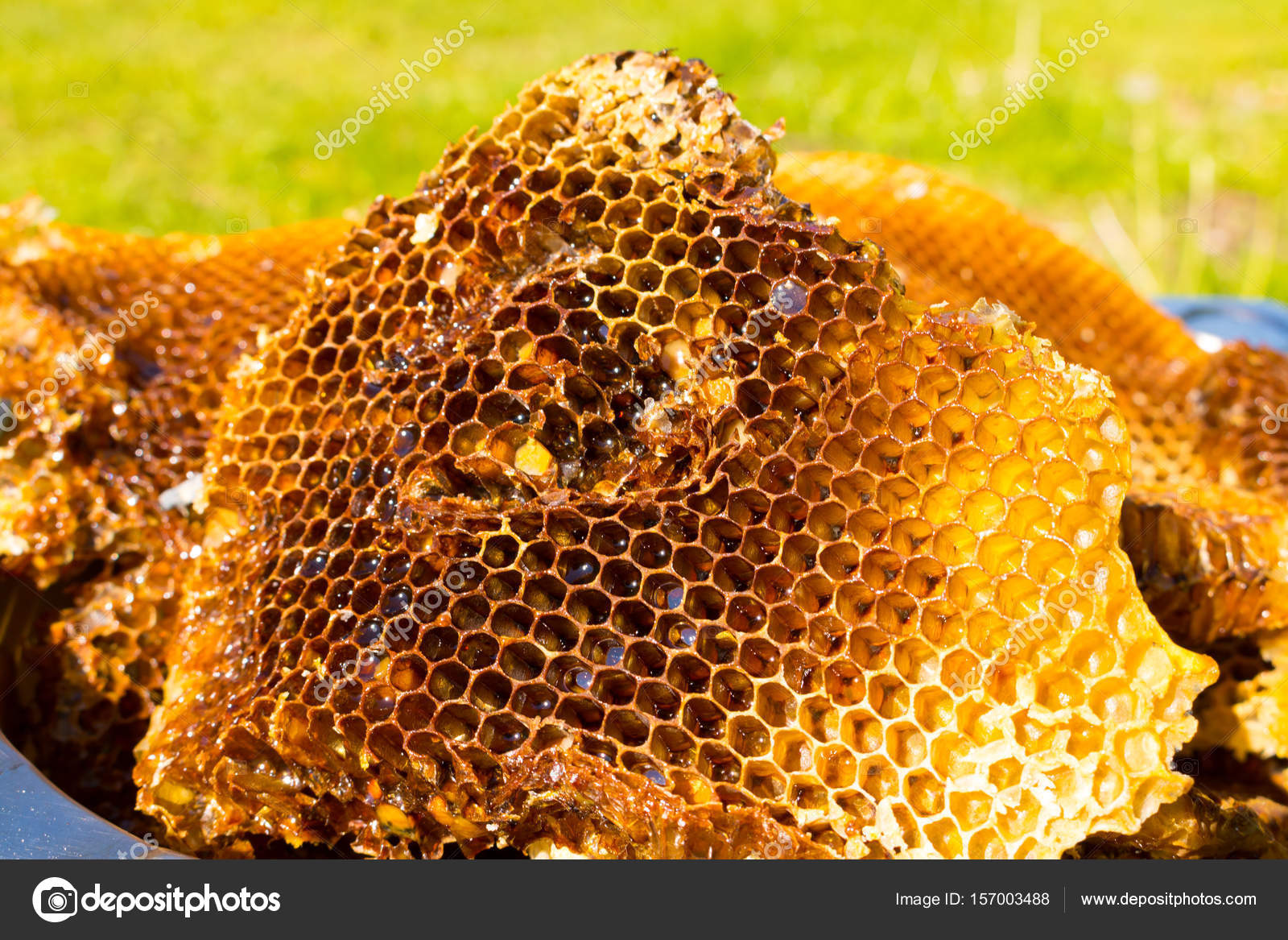 Resultado de imagen de panal de abeja