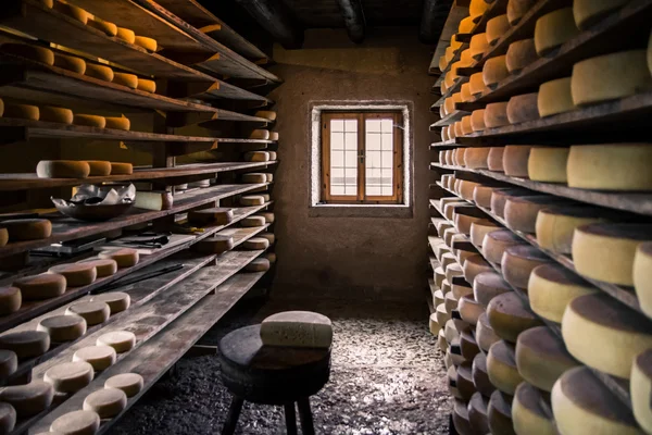 Cabana alpina que produz queijos caseiros . — Fotografia de Stock