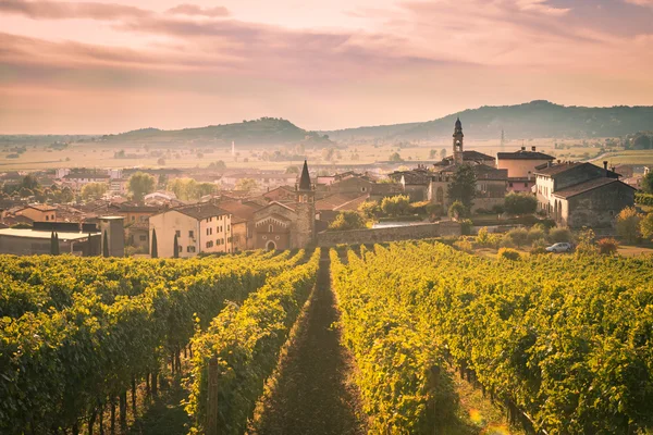 Nézd Soave (Olaszország), szőlőskertekkel körülvett. — Stock Fotó