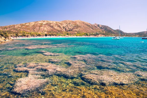 Tuerredda, one of the most beautiful beaches in Sardinia. — Stock Photo, Image