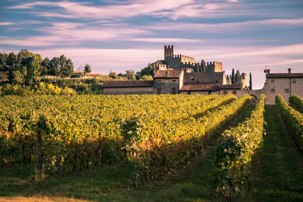 Weergave van Soave (Italië) en het beroemde middeleeuwse kasteel — Stockfoto