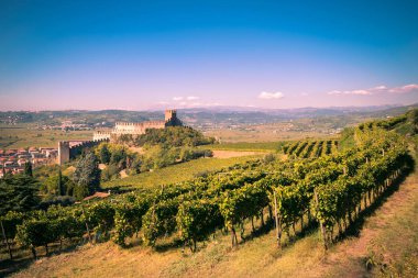 Soave (İtalya) görünümünü ve onun ünlü Ortaçağ Kalesi