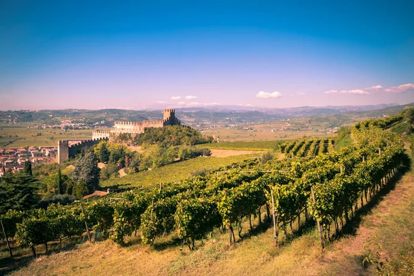 Перегляд Soave (Італія) і його знаменитий середньовічний замок — стокове фото