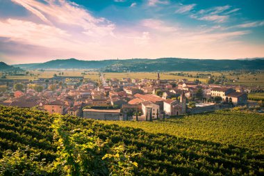 Görünüm üzüm bağları ile çevrili bir Soave (İtalya).