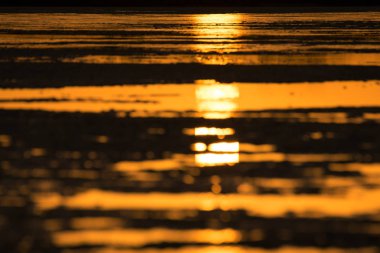 Günbatımı pembe flamingolar Chia, Sardunya gölet üzerinde.