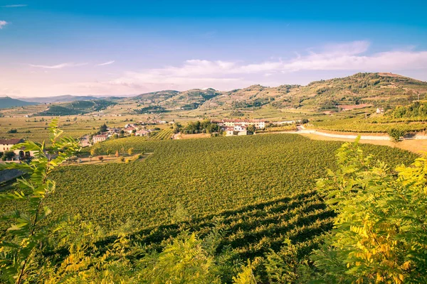 Weergave van Soave (Italië), omringd door wijngaarden. — Stockfoto