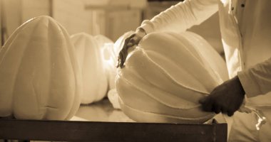 Provolone peyniri imalatı.