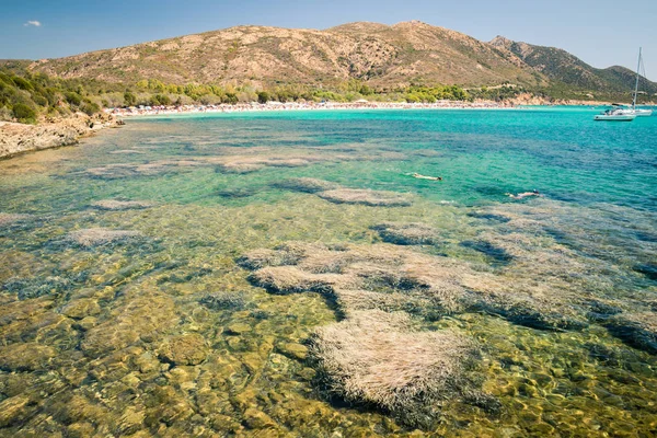 Tuerredda, une des plus belles plages de Sardaigne . — Photo