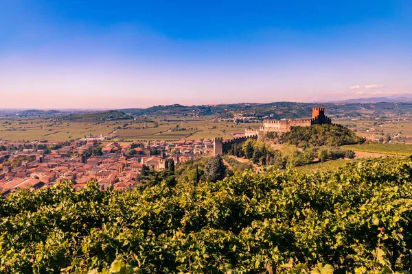 Soave (İtalya) görünümünü ve onun ünlü Ortaçağ Kalesi