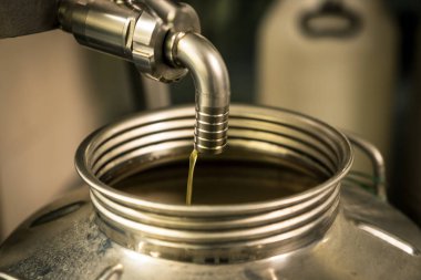 Zeytinyağı modern bir çiftlikte işlenmesi.